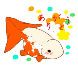Fluttering Goldfish sticker #10093862