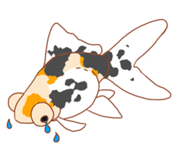 Fluttering Goldfish sticker #10093878