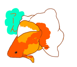 Fluttering Goldfish sticker #10093881
