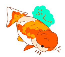 Fluttering Goldfish sticker #10093886