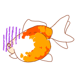 Fluttering Goldfish sticker #10093892