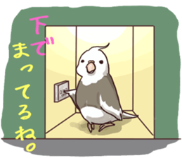 Y's Family sticker #10095379