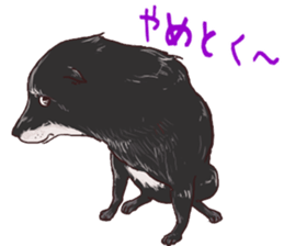 Y's Family sticker #10095391