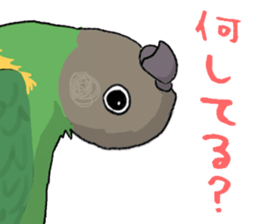 Y's Family sticker #10095393