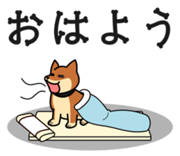 MARU-SHIBA YAMATO sticker #10096649