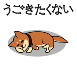 MARU-SHIBA YAMATO sticker #10096655