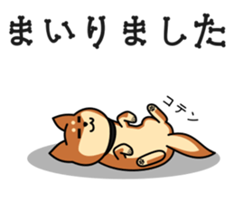 MARU-SHIBA YAMATO sticker #10096656