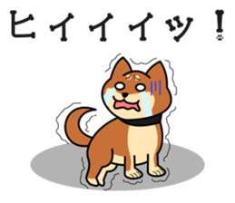 MARU-SHIBA YAMATO sticker #10096660