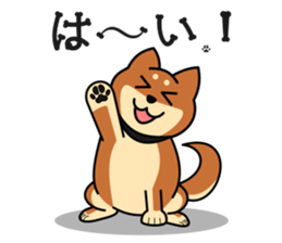 MARU-SHIBA YAMATO sticker #10096662