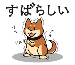 MARU-SHIBA YAMATO sticker #10096677