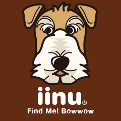iinu  Wirehaired Fox Terrier