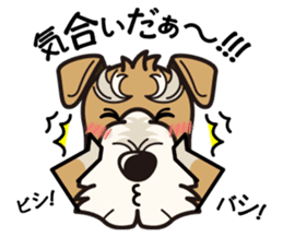 iinu Wirehaired Fox Terrier sticker #10097597