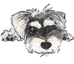 Schnauzer Lovers - Our Schnauzers sticker #10097892