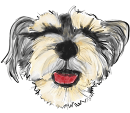 Schnauzer Lovers - Our Schnauzers sticker #10097896