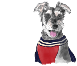 Schnauzer Lovers - Our Schnauzers sticker #10097897