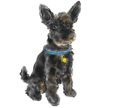 Schnauzer Lovers - Our Schnauzers sticker #10097903
