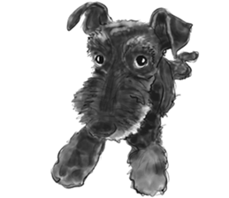 Schnauzer Lovers - Our Schnauzers sticker #10097907