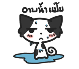 chocchip the little cat sticker #10098132