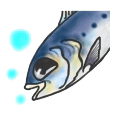 Frienbs of the sea.