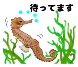 Frienbs of the sea. sticker #10101249
