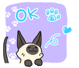 Siamese cat sticker(English ver) sticker #10102313