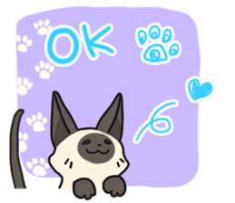 Siamese cat sticker(English ver) sticker #10102313