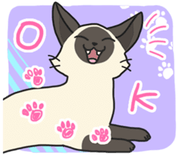 Siamese cat sticker(English ver) sticker #10102314