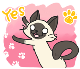 Siamese cat sticker(English ver) sticker #10102316