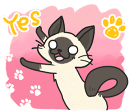 Siamese cat sticker(English ver) sticker #10102316