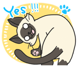 Siamese cat sticker(English ver) sticker #10102317