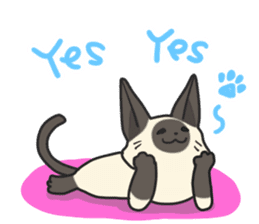 Siamese cat sticker(English ver) sticker #10102319