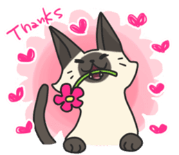 Siamese cat sticker(English ver) sticker #10102320