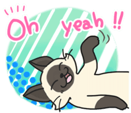 Siamese cat sticker(English ver) sticker #10102328