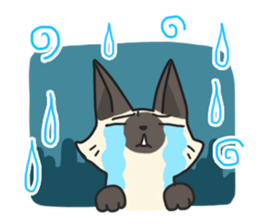 Siamese cat sticker(English ver) sticker #10102334