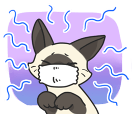 Siamese cat sticker(English ver) sticker #10102335