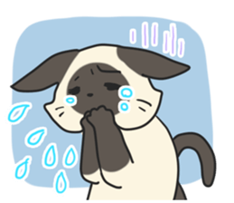 Siamese cat sticker(English ver) sticker #10102338
