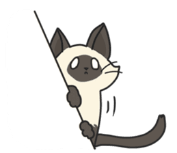 Siamese cat sticker(English ver) sticker #10102340