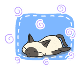 Siamese cat sticker(English ver) sticker #10102342