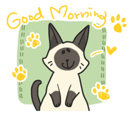 Siamese cat sticker(English ver) sticker #10102344