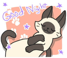 Siamese cat sticker(English ver) sticker #10102346