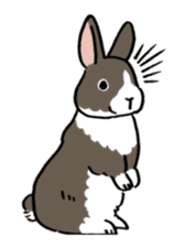 English Bunny 2 sticker #10103584
