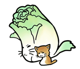 Chinese cabbage cat sticker #10104152