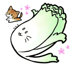 Chinese cabbage cat sticker #10104153