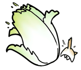 Chinese cabbage cat sticker #10104154