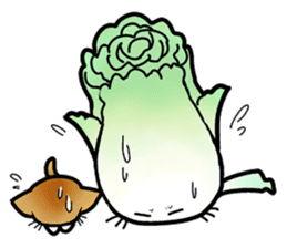 Chinese cabbage cat sticker #10104155