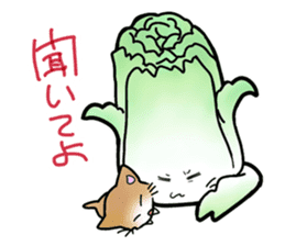 Chinese cabbage cat sticker #10104158