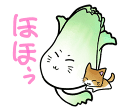 Chinese cabbage cat sticker #10104161