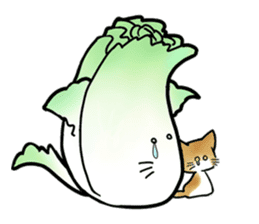 Chinese cabbage cat sticker #10104163