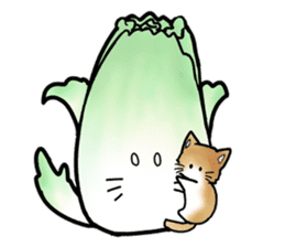Chinese cabbage cat sticker #10104164