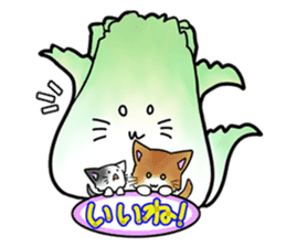 Chinese cabbage cat sticker #10104167